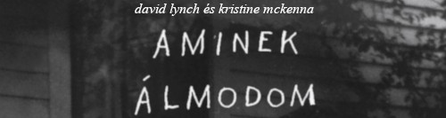 David Lynch és Kristine McKenna: Aminek álmodom