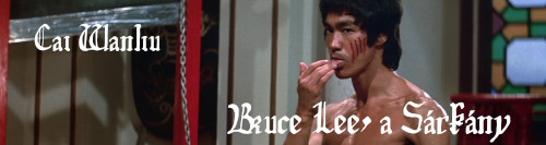 Cai Wanliu: Bruce Lee, a Sárkány